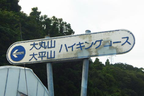 12082505.jpg