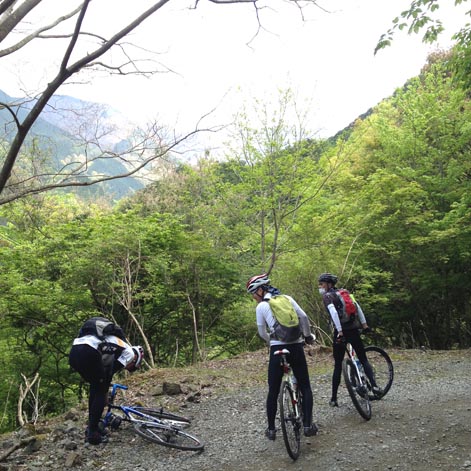 13050409.jpg