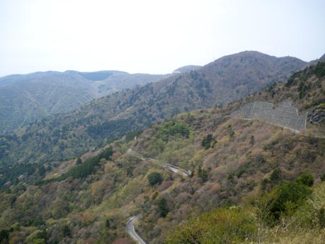 11043003.jpg