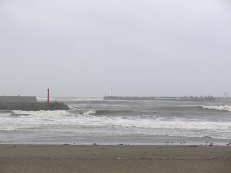 11090302.jpg