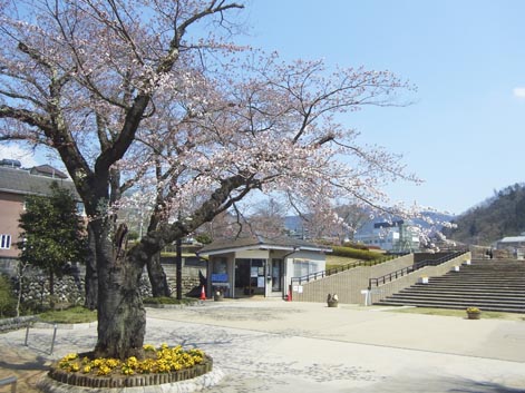 12040811.jpg