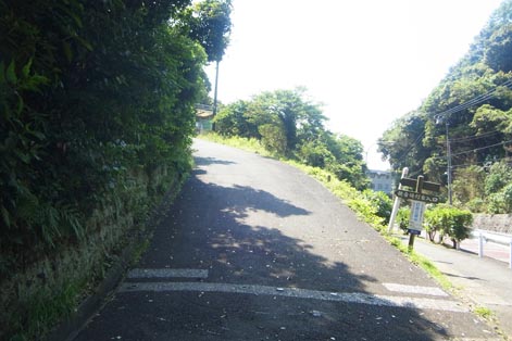 12063006.jpg