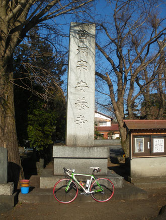201101091.jpg