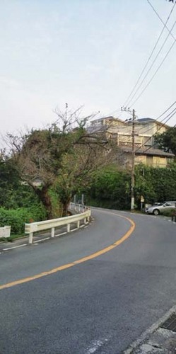 F1010316.JPG