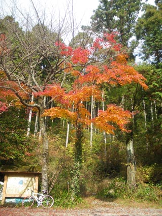 IMGP0848.jpg